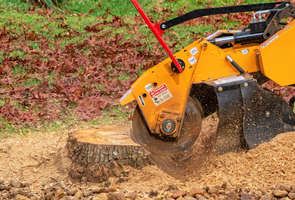 Stump Removal San Diego