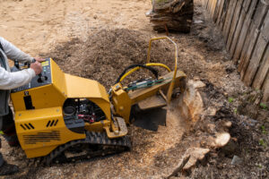 Stump Removal Chula Vista