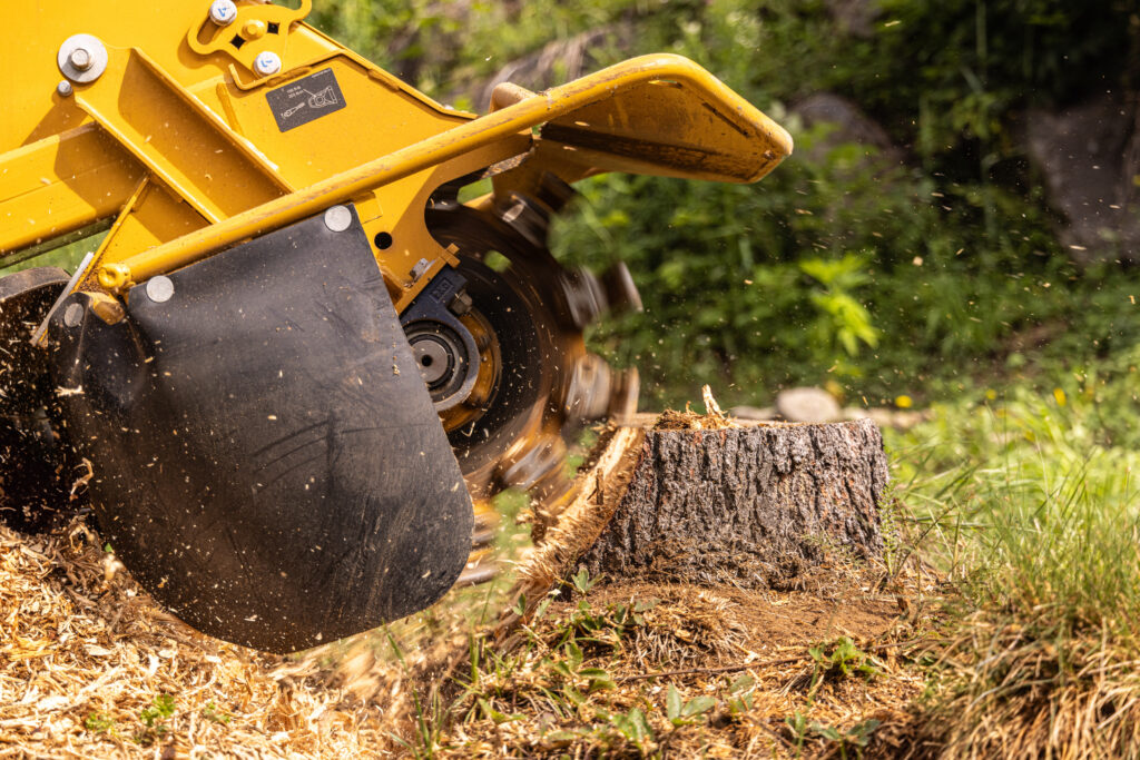 Stump Removal San Diego