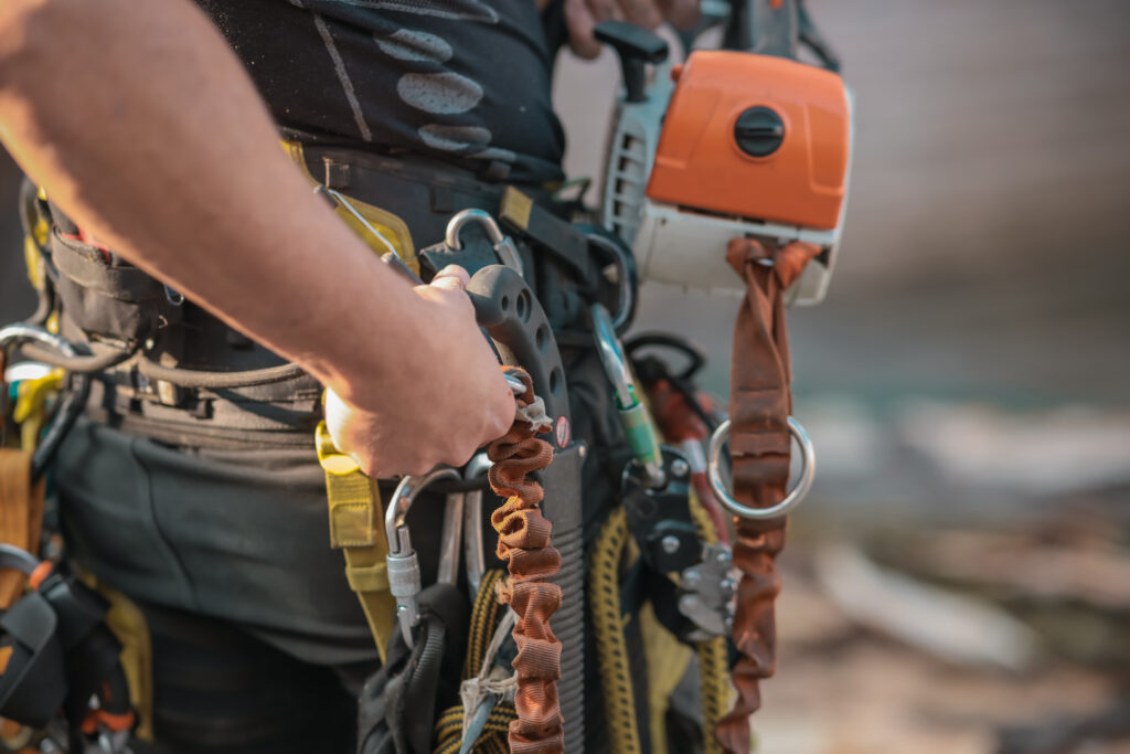 Tree Service El Cajon