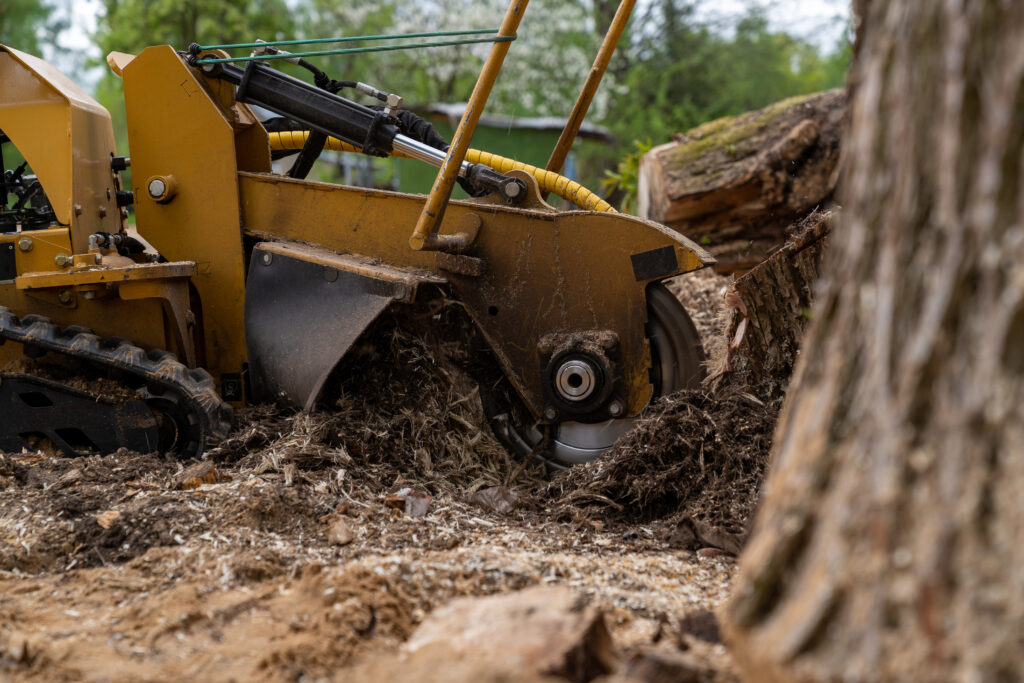 Tree Stump Removal San Diego